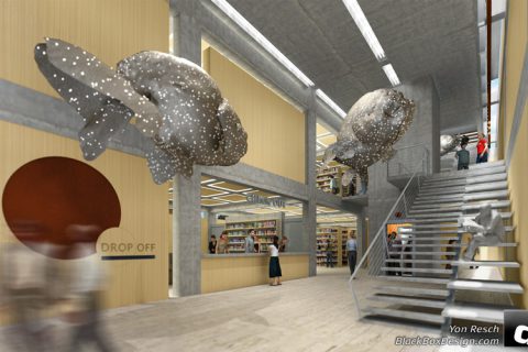 Library
