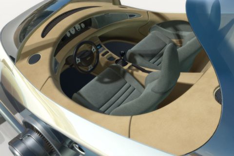 Shark Interior
