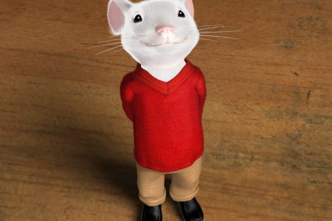 Test Mouse