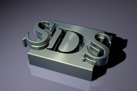 SDS02