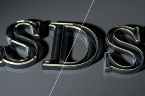SDS01