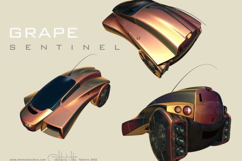 Poster Sentinel Grape