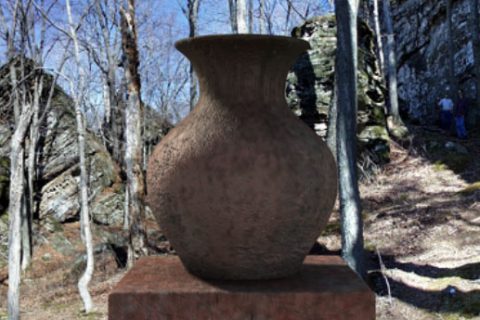 Days of a jar-Forest