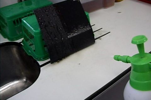 "Shine on Me" Lichtmond