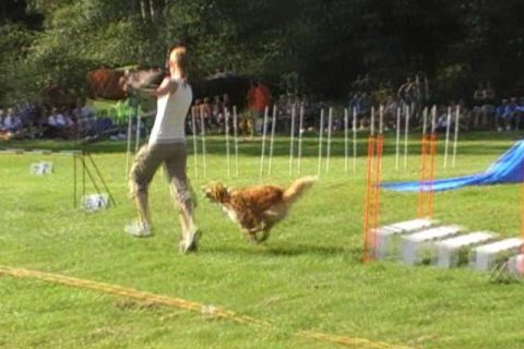 Joker Placement thinkwild