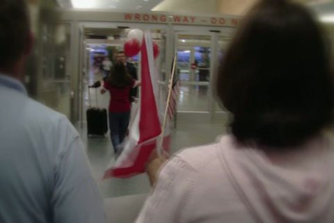 Bullet Dancer - Polygon Attractor