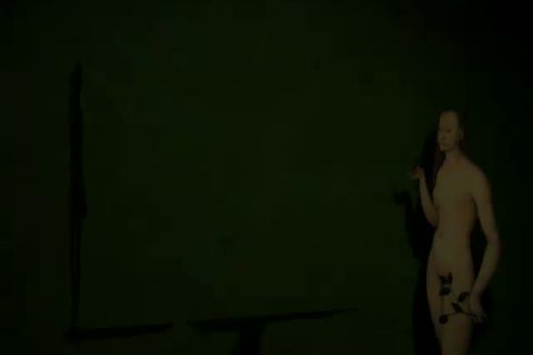 Sports Authority - Baseball