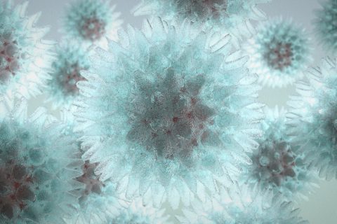 Virus Model