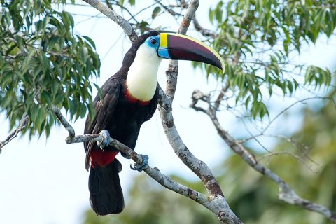 Marvel's Legion Season 2